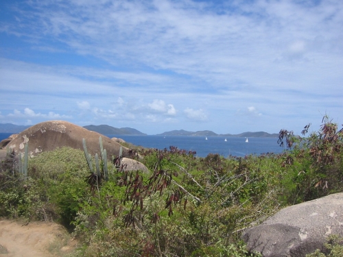 bvi2005_003