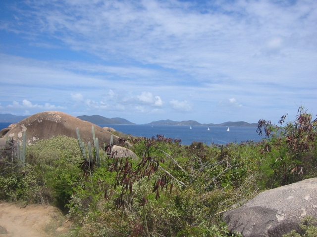 bvi2005_003