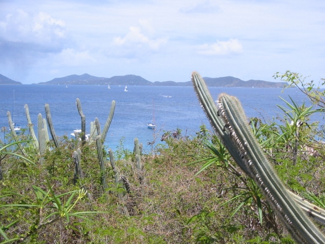 bvi2005_007