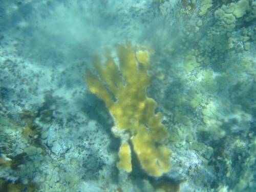 bvi2005_037