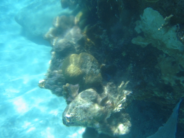 bvi2005_038