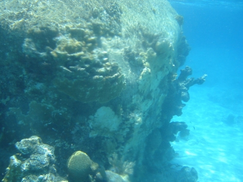 bvi2005_039