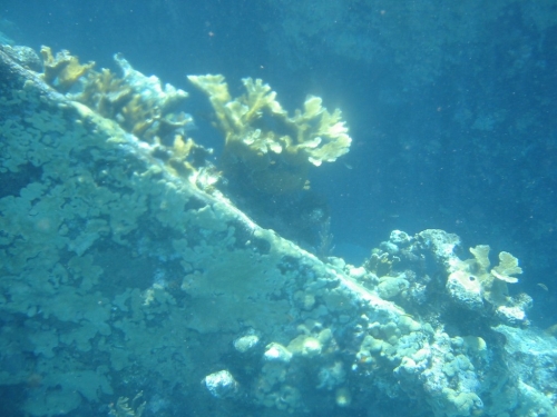 bvi2005_040
