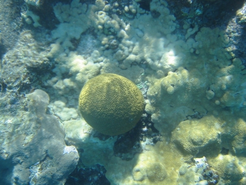 bvi2005_041
