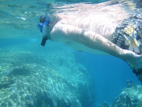 bvi2005_042