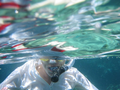 bvi2005_045