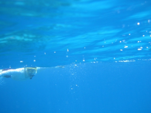 bvi2005_046