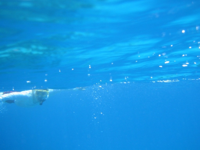 bvi2005_046