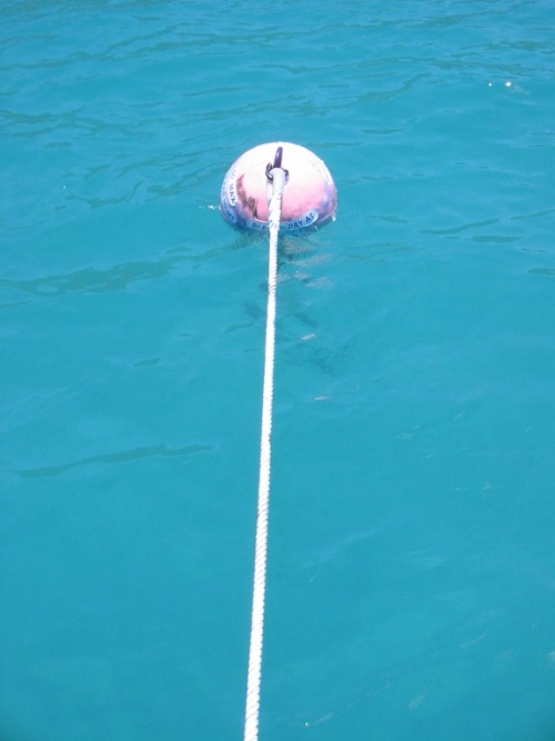 bvi2005_055