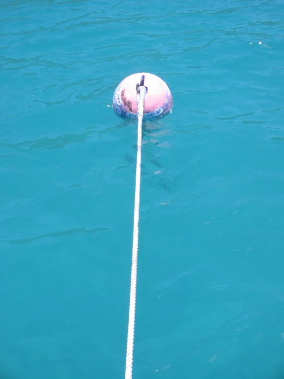 bvi2005_055