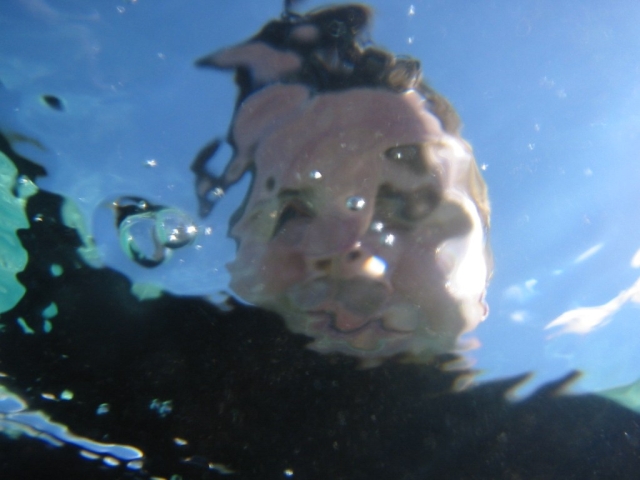 bvi_2005_003