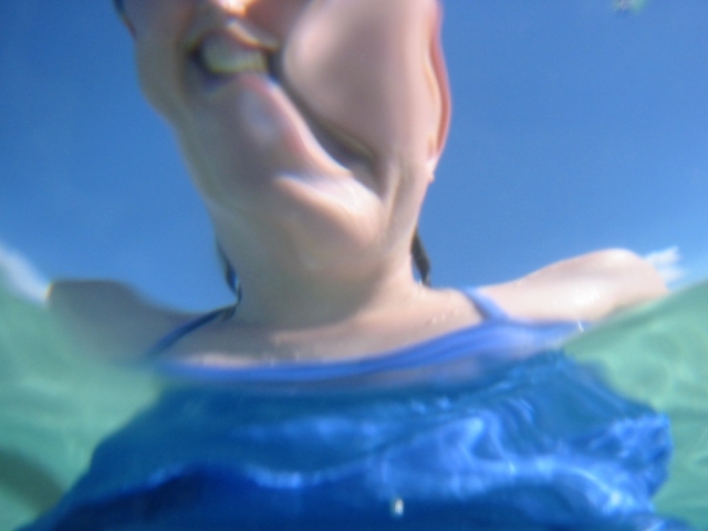 bvi_2005_006