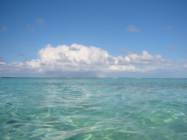 bvi_2005_012
