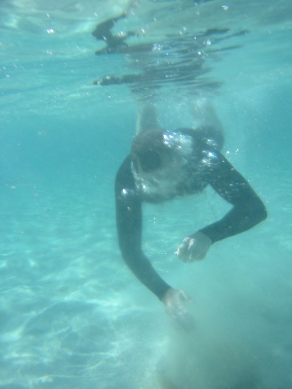 bvi_2005_014