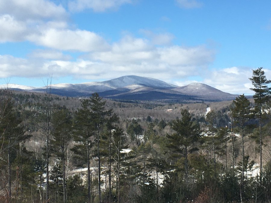 Branch Brook Highlights