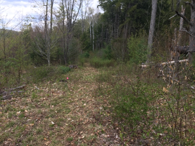 6DE109E9-F1EE-4129-81AF-7238DE63A615