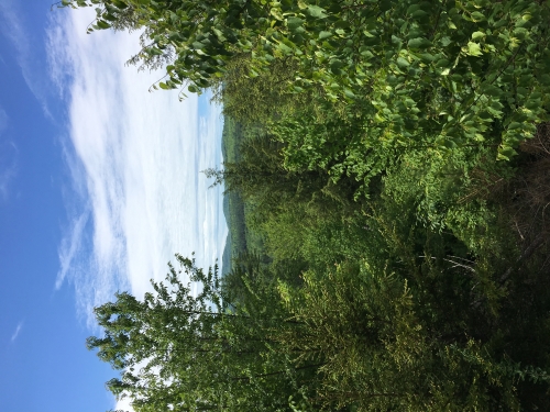 DFECB9CE-F133-4302-B1D0-A115078F1A1C