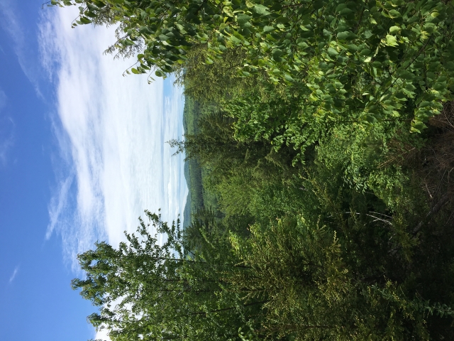 DFECB9CE-F133-4302-B1D0-A115078F1A1C