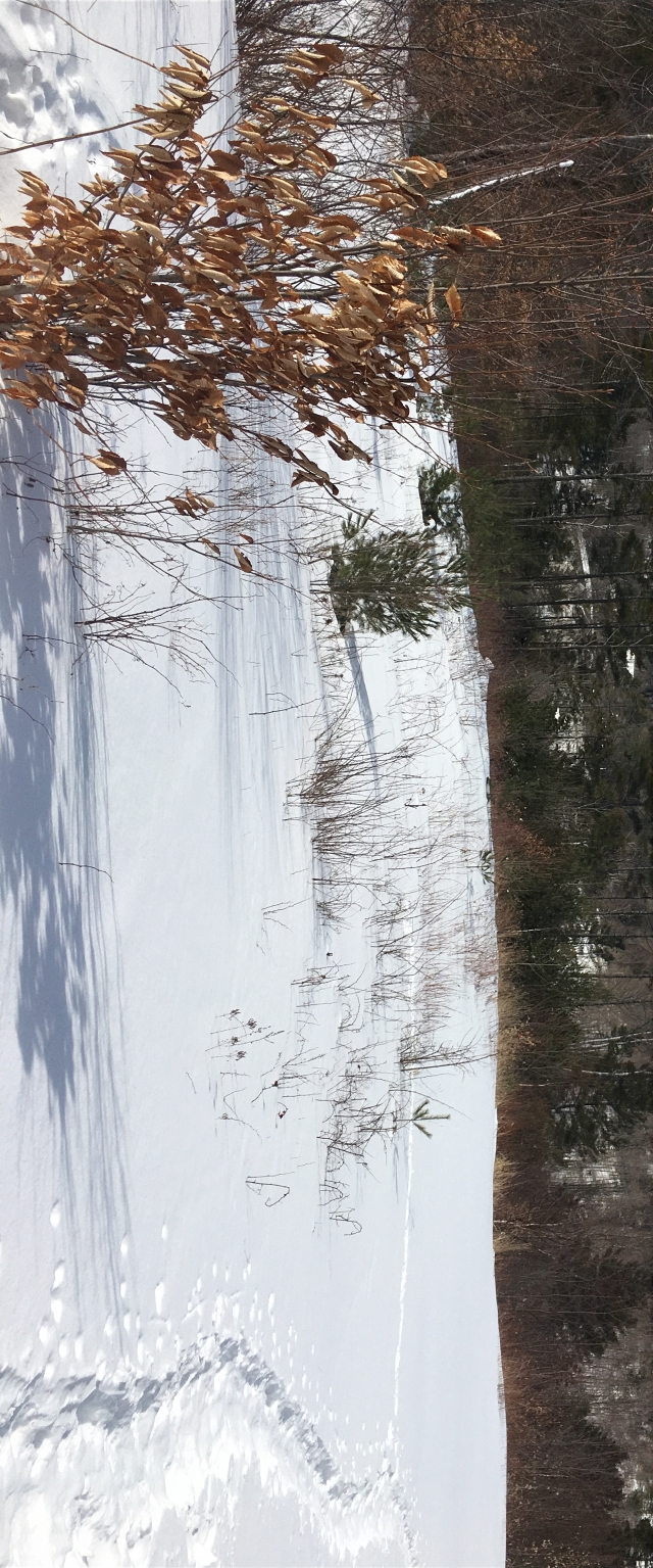 E97A2A71-1474-4EFE-87BA-38BEB156319D