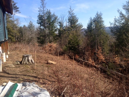 Photo-01119