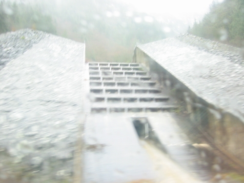 Image21