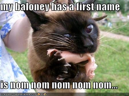 kitties