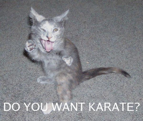 karate