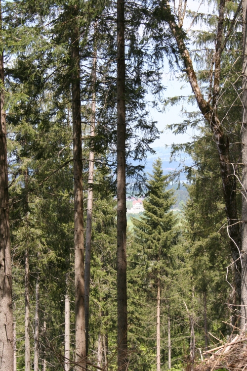 IMG_3310