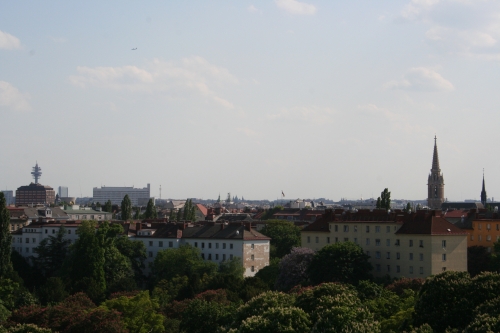 IMG_3686